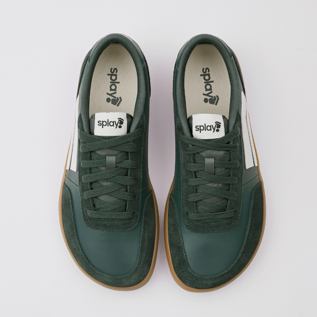 Splay 101 Ivy League Green '26 [B-Stock]